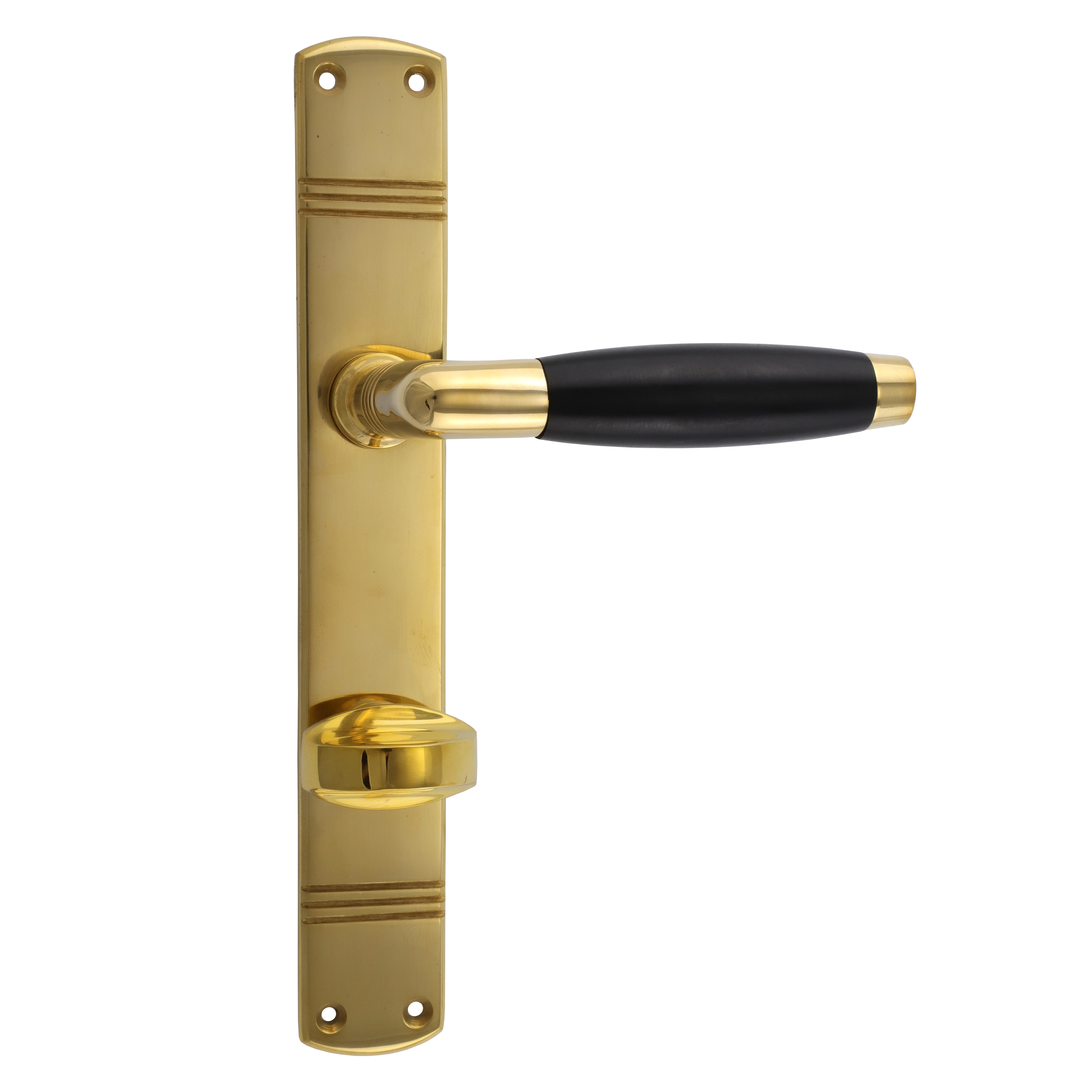 Toilet door garniture art nouveau - antique door handle, door pusher, door puller Toilet door garniture art nouveau - antique door handle, door pusher, door puller